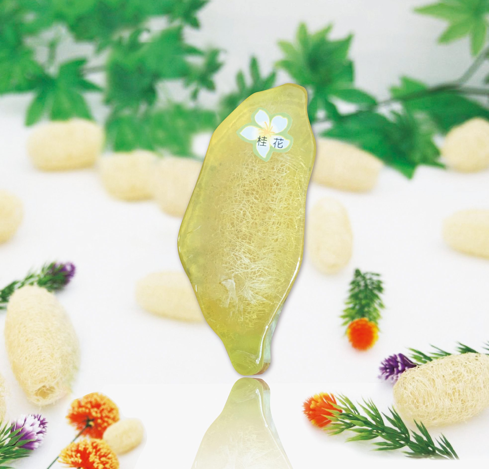 絲瓜皂---桂花